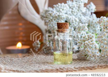 A bottle of yarrow essential oil with fresh yarrow 48592213