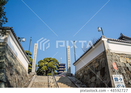 梅花盛開的中山寺 48592727