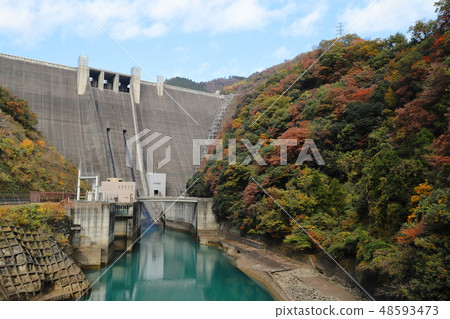 Miyagase Dam of autumn leaves Miyagase Dam of autumn leaves 48593473