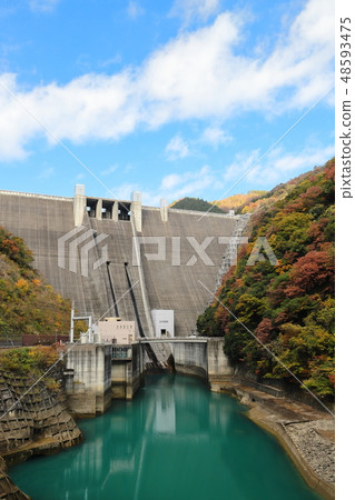 Miyagase水壩秋葉的垂直位置 48593475