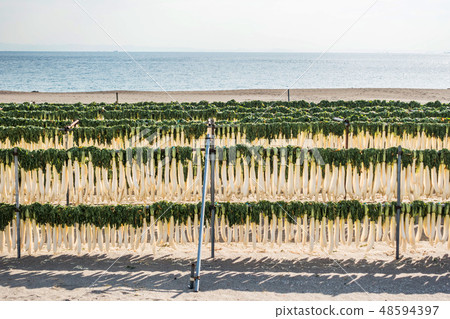 Daikon's Cold Dried (Miura Peninsula) Japanese food cold dried radish 48594397