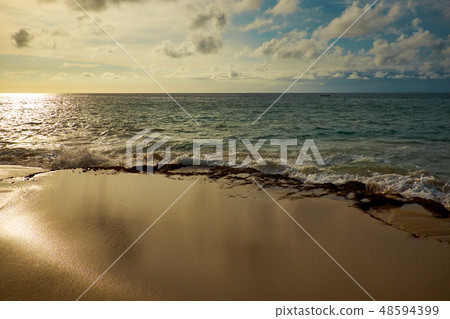 Amazing  beach destination sunrise or sunset  48594399