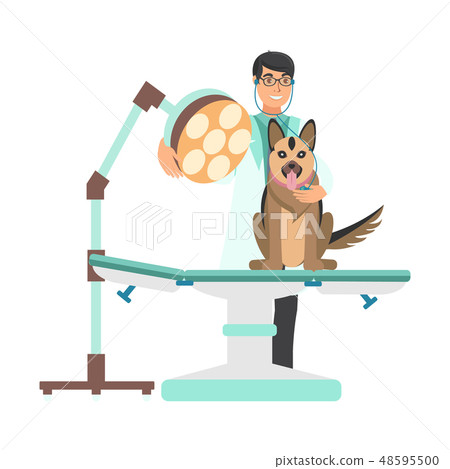Veterinarian with Dog in Vet Clinic Illustration 48595500