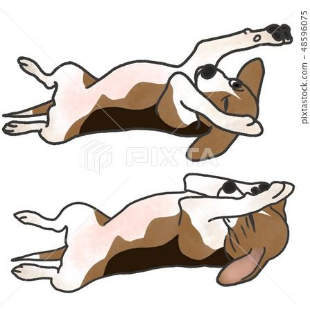 一隻狗(比格犬)的插圖 一隻狗(比格犬)的插圖 48596075