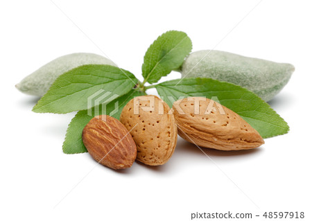 Fresh almonds with leaves isolated on white 48597918