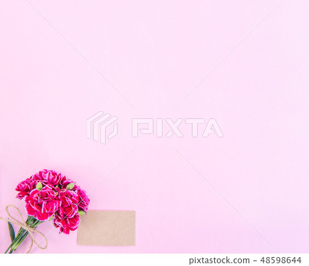 母親節Yasuno Kaoru Sendoku Katona頂視圖樣機母親節康乃馨 48598644