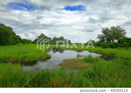 African landscape in green season. 48599124