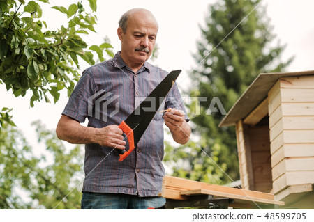 Mature man with mustache holding a saw in hand  48599705