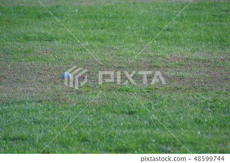 The grand lost article 48599744