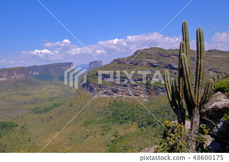 Chapada Diamantina National Park landscape with Morro Do Morrao mountain, view from Morro Do Pai Chapada Diamantina National Park landscape with Morro Do Morrao mountain, view from Morro Do Pai 48600175