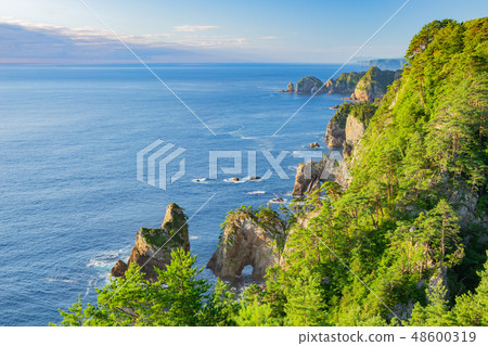 Kitayamasaki in the summer 48600319