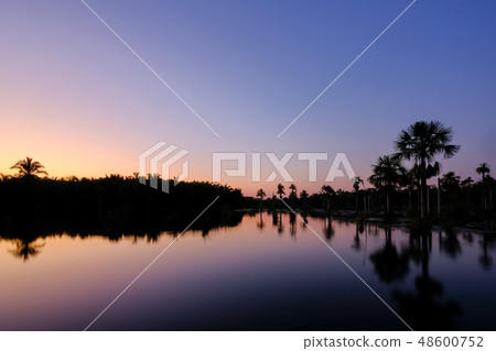 Reflection of the palm trees in the lagoon Lagoa das Araras at sunrise, Bom Jardim, Mato Grosso Reflection of the palm trees in the lagoon Lagoa das Araras at sunrise, Bom Jardim, Mato Grosso 48600752