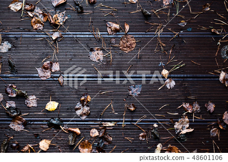 Autumn leaves on a old wooden background. Autumn leaves on a old wooden background. 48601106