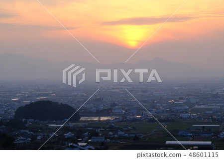 李子和春霧大和寺（奈良縣櫻井市） 48601115