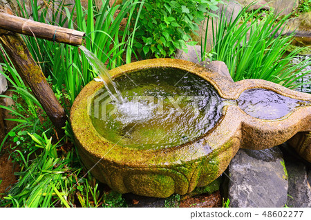 自然友好的春天風景在一個鄉村的後院 自然友好的春天風景在一個鄉村的後院 48602277