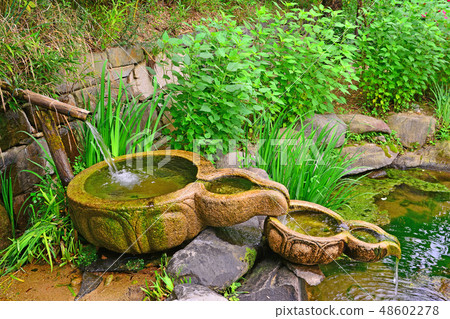 自然友好的春天風景在一個鄉村的後院 48602278