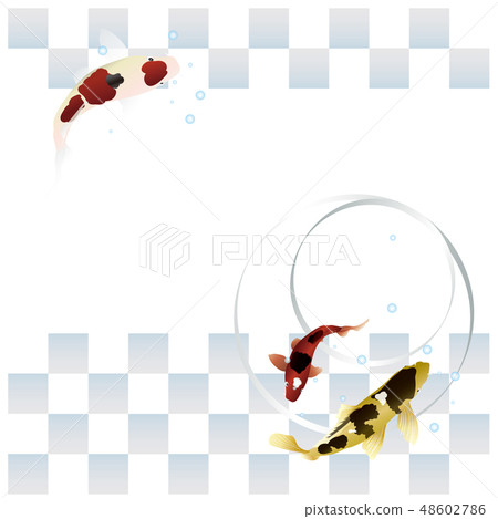 Lattice pattern carp 48602786