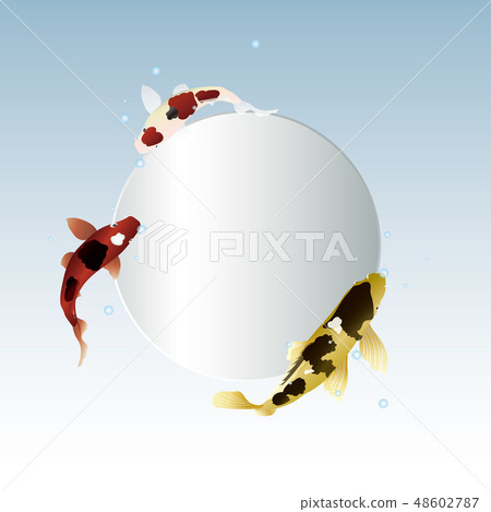 Carp and silver 48602787
