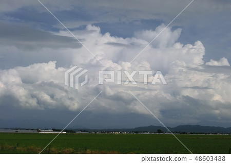 一片大雲 一片大雲 48603488