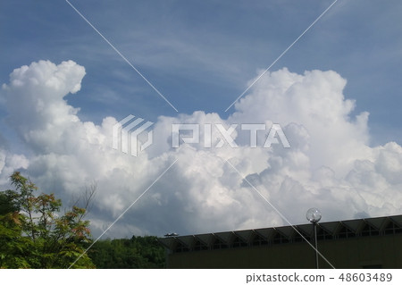 雲蓋 48603489