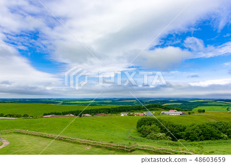 北海道多和平地平線與可見的地平線 北海道多和平地平線與可見的地平線 48603659