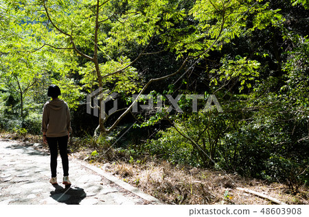 Asian woman hiking at the outdoor 48603908