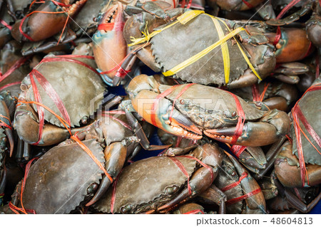 Fresh serrated mud crabs prepare to sell on street 48604813