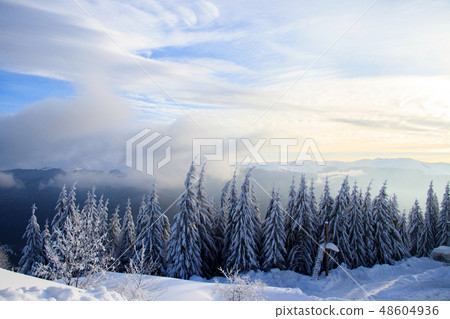 winter landscape in the mountains winter landscape in the mountains 48604936