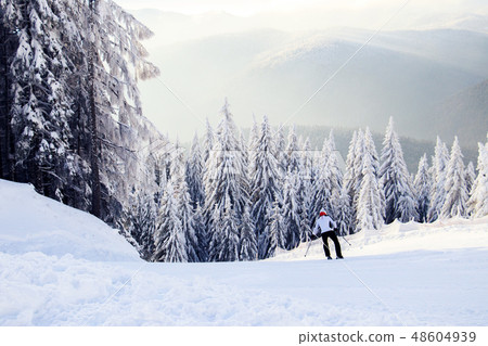 winter landscape in the mountains winter landscape in the mountains 48604939