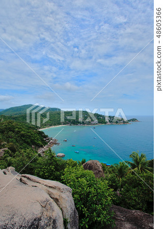 View of Koh Tao 48605366