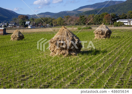 Yufu and straw small products 48605634