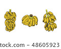 Vector Illustration of banana fruit sketch for design, website, background, banner. Travel and 48605923