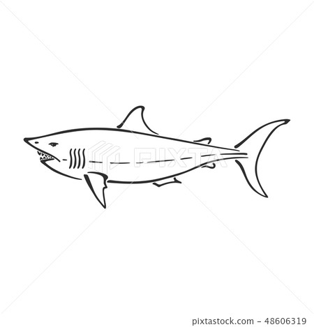 White shark character abstract ink hand drawn vector logo cartoon. Simplified retro illustration 48606319