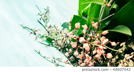 Bunch of beautiful pink flowers closeup Bunch of beautiful pink flowers closeup 48607042