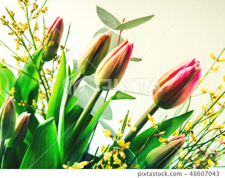 Beautiful bunch of tulips on pastel background 48607043