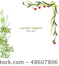 post card,frame decorative,corporate designplant t 48607806