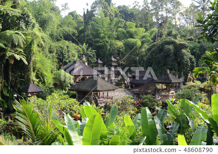 Gunung Kawi Temple in Bali, Indonesia 48608790