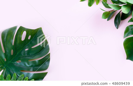 fresh green leaf fresh green leaf 48609439