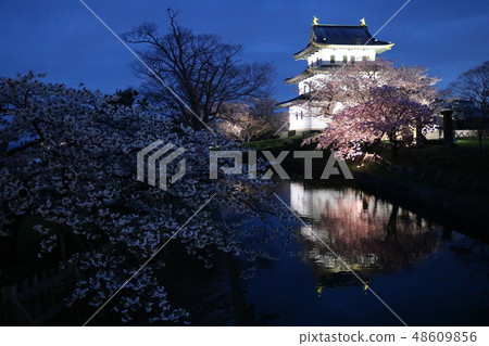 松前城堡的櫻花 48609856
