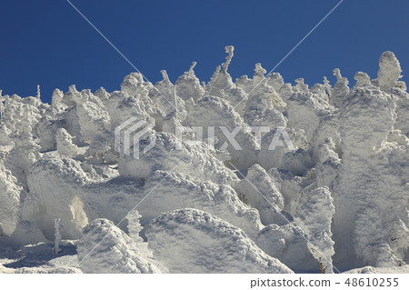 Nigozumayama冬季（二月/ Azuma Renge） 48610255