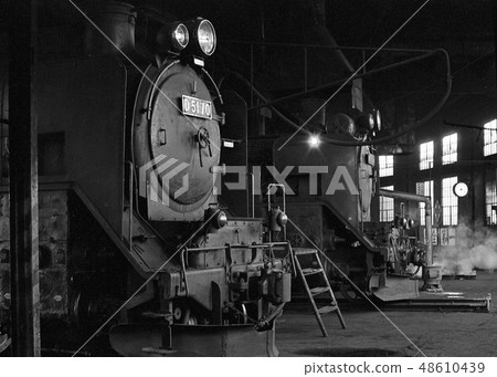 D51 of Otaru Denshi organ area 48610439