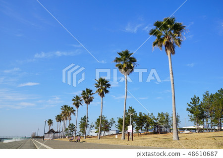 大阪縣Nikitami Beach Beach Area 48610687