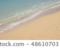 The beach 48610703