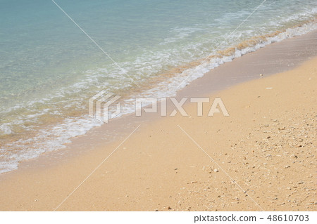 The beach The beach 48610703