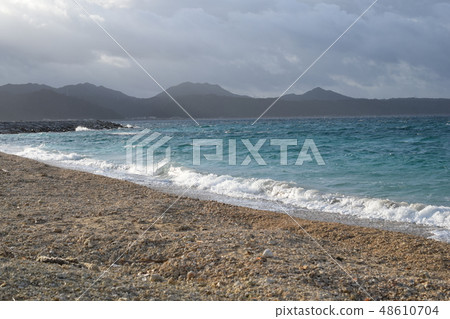 The beach 48610704
