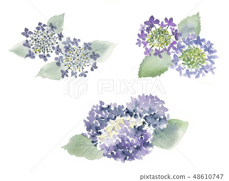 繡球花水墨風格3件套 48610747