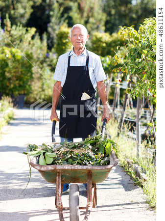 Gardener pushing wheelbarrow 48611154