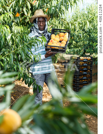 Man with box of peaches 48611284