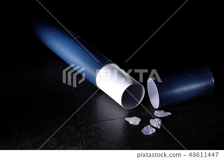 我不能畢業 我不能畢業 48611447