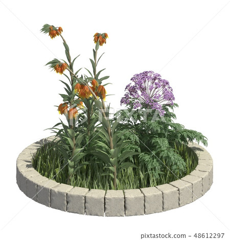 Bush 3d illustration isolated on the white background Bush 3d illustration isolated on the white background 48612297